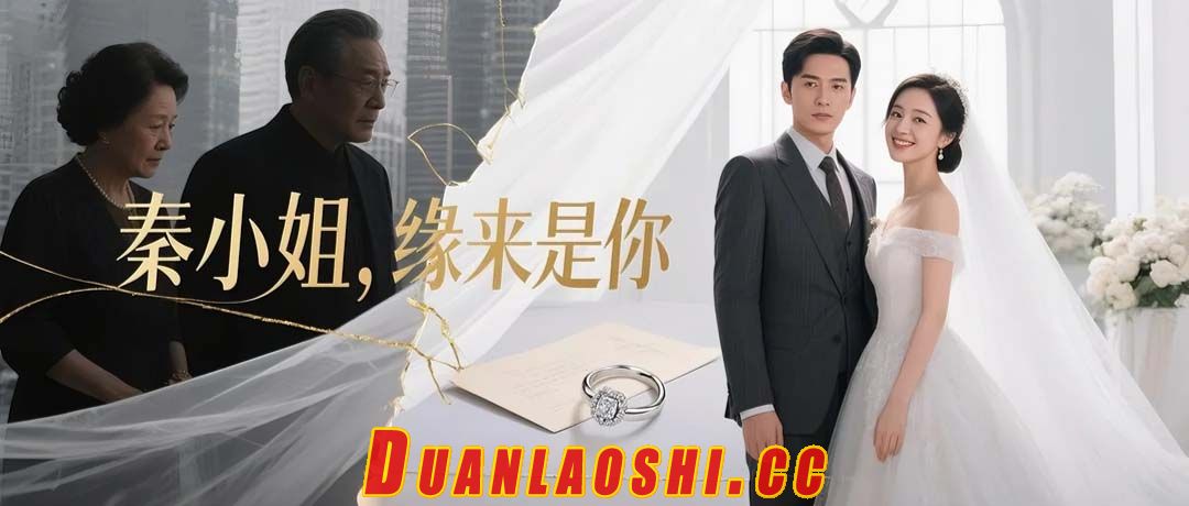 秦小姐，缘来是你缩略图